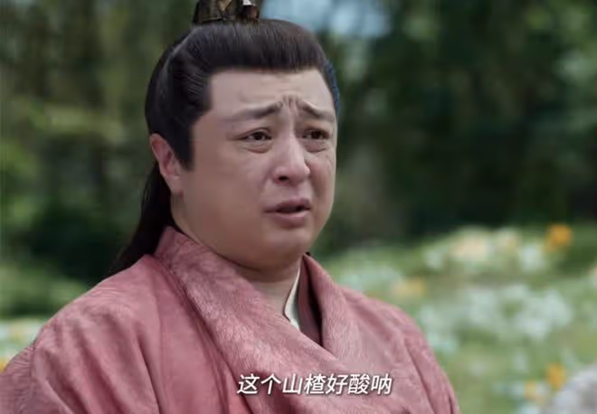 慶餘年2:袁先生背叛,林若甫發現范閒殺林珙,用林大寶報復范閒