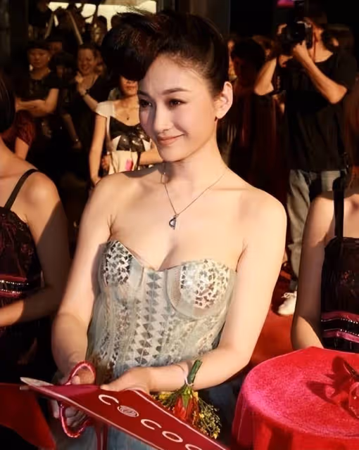 李小冉:真正的風韻猶存,氣質獨特盡顯優雅魅力