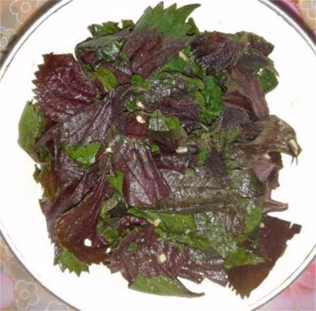 紫蘇放鍋里蒸一蒸,作用花錢也難買,很多人不知它珍貴,太厲害了