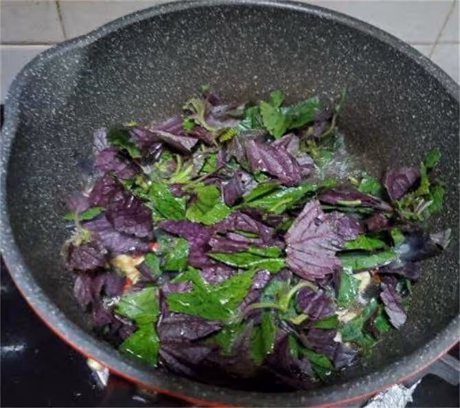 紫蘇放鍋里蒸一蒸,作用花錢也難買,很多人不知它珍貴,太厲害了