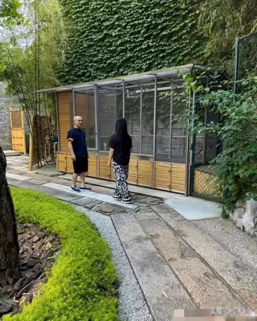 李湘凌晨發文帶王詩齡拜訪中國當代藝術領軍人物,王詩齡前途無量