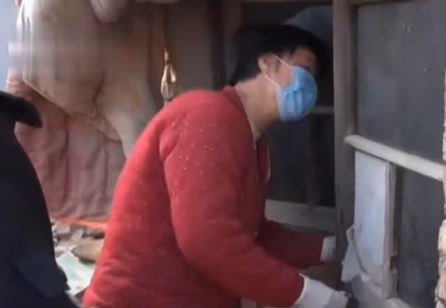2015年,老太意外摔倒,搶救無效死亡,醫生卻讓家屬立即報警