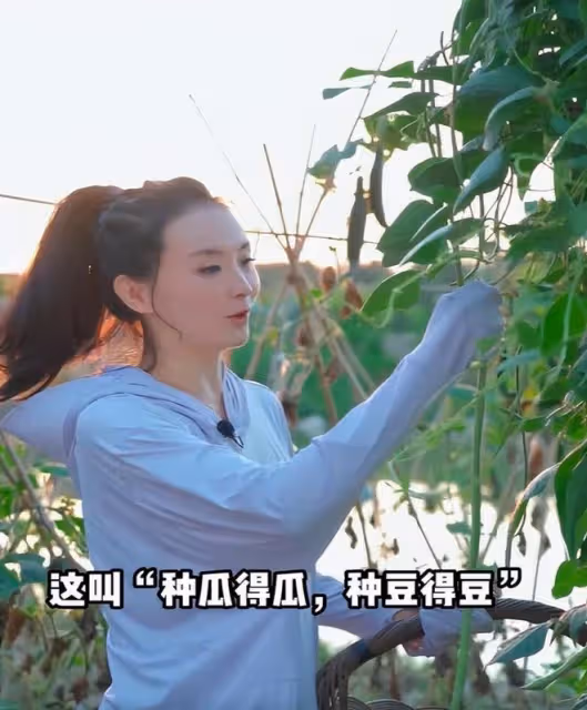 董潔和王艷下地干農活,一個割韭菜接地氣,一個全副武裝像作秀