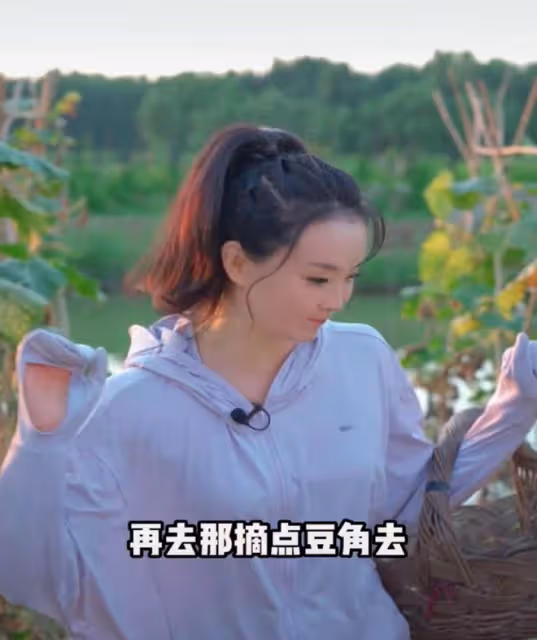 董潔和王艷下地干農活,一個割韭菜接地氣,一個全副武裝像作秀