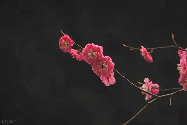 奶奶一直覺得是「我媽高攀我爸」對她很刻薄！連我爸外遇她都說是我媽的錯…他們離婚幾年後「奶奶聽到媽媽再嫁對象」嚇呆了 # 最好的報復