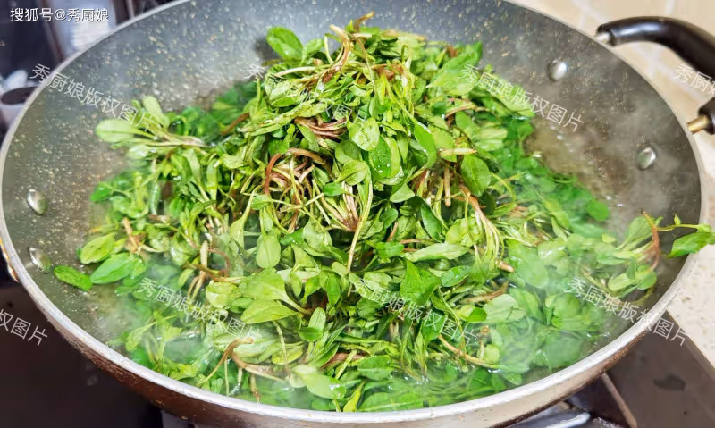 這菜全身是寶,以前常被當成雜草,如今成極品野菜,包餃子吃真香
