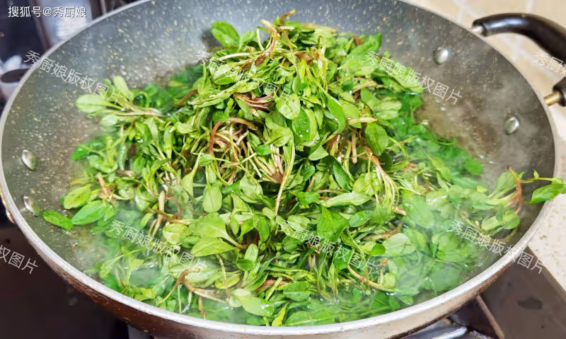 這菜全身是寶,以前常被當成雜草,如今成極品野菜,包餃子吃真香