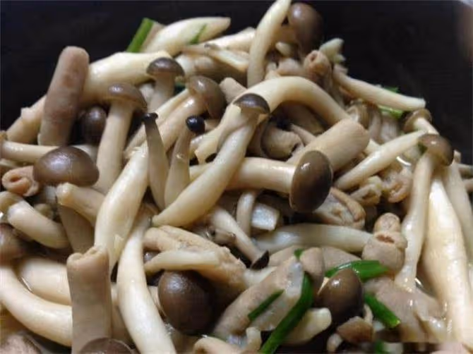 蟹味菇需要焯水嗎?大廚教你新做法,鮮香滑嫩,營養美味