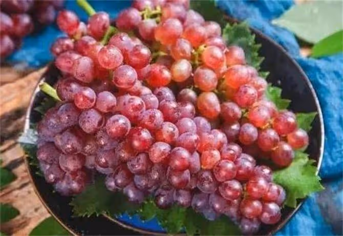 葡萄是熱性還是涼性?適當食用葡萄有哪些好處?