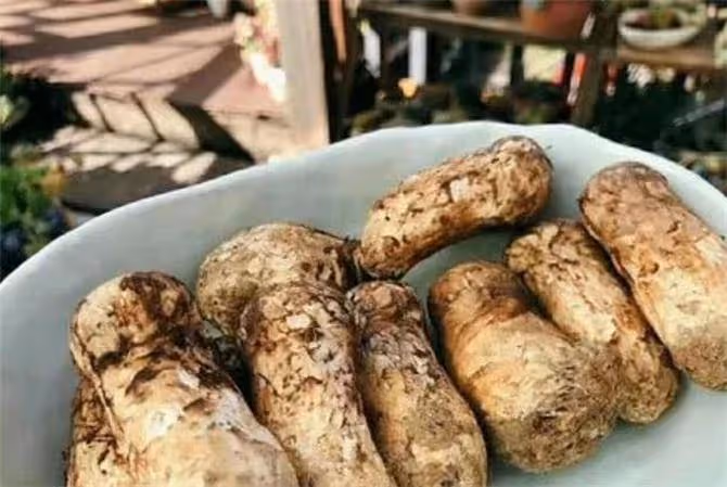 松茸保存方法大揭秘，松茸保質期一般多久？