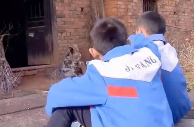 回顧:單親媽媽患癌症,親戚們拒絕幫她養2個兒子,現在如何?
