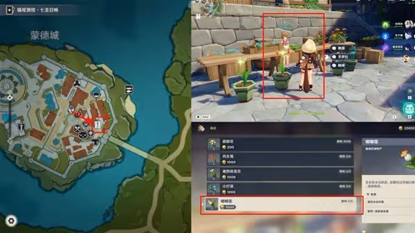 《原神》嘟嘟蓮採集路線分享