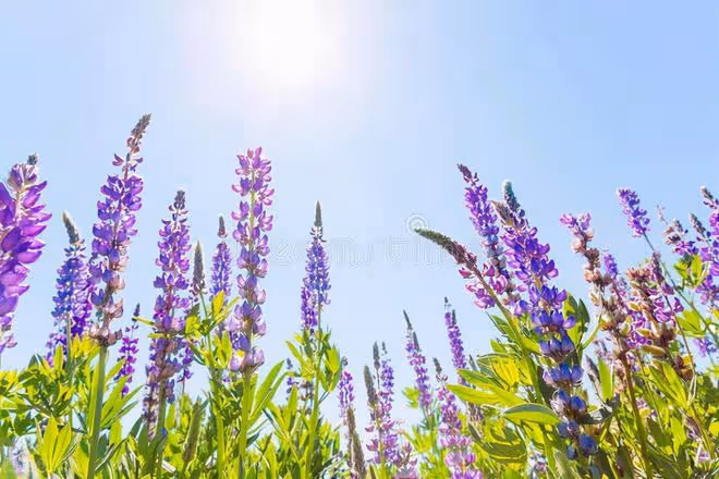 70歲老人:晚年搭夥生活費零花錢可以商量,養老金一定在自己手裡