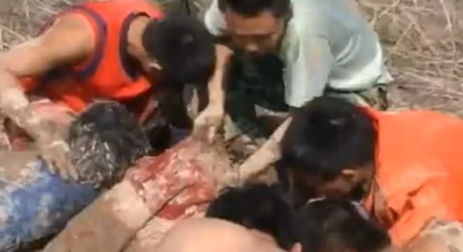 回顧:孕婦深陷沼澤4天4夜,靠喝污水維持生命,後來如何了