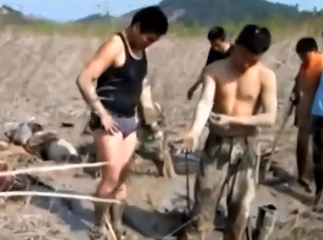 回顧:孕婦深陷沼澤4天4夜,靠喝污水維持生命,後來如何了
