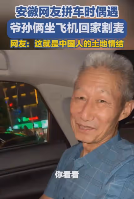 孫子陪爺爺坐飛機從福建到河南割麥子,爺爺:不計成本,回家看看