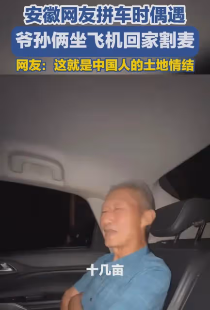 孫子陪爺爺坐飛機從福建到河南割麥子,爺爺:不計成本,回家看看