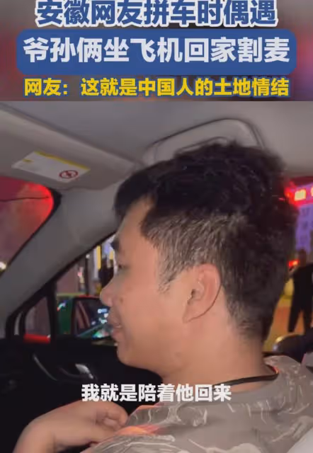 孫子陪爺爺坐飛機從福建到河南割麥子,爺爺:不計成本,回家看看