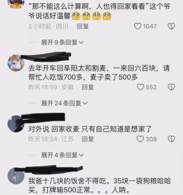 孫子陪爺爺坐飛機從福建到河南割麥子,爺爺:不計成本,回家看看