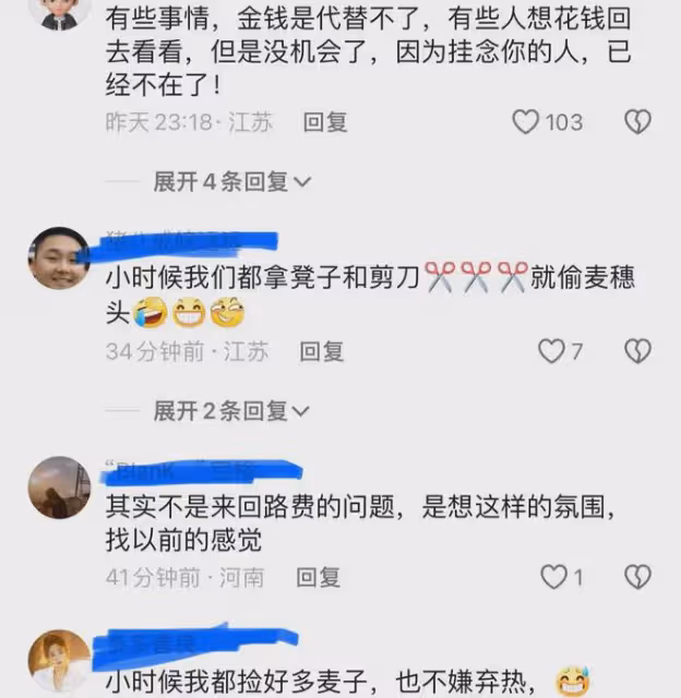 孝順!八旬老母親撿200斤麥子,兒子開車幾百公里回來給老媽打麥