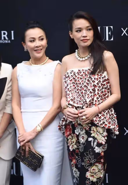 舒淇到劉嘉玲家中打牌,期間尿急上了下廁所,被劉嘉玲知道後,就叫人把衛生間砸了