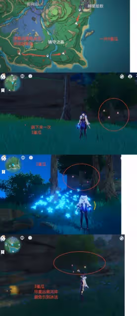 《原神》堇瓜採集線路分享