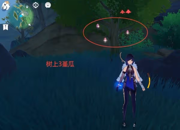 《原神》堇瓜採集線路分享