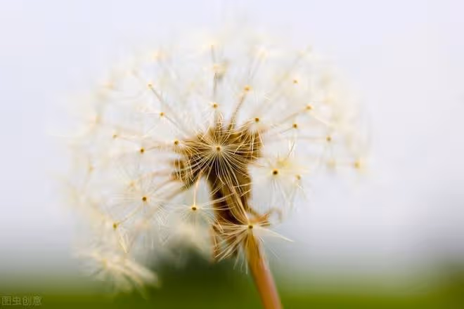58歲退休阿姨坦言:人生後半段,越是捨得這樣做,餘生就會越幸福