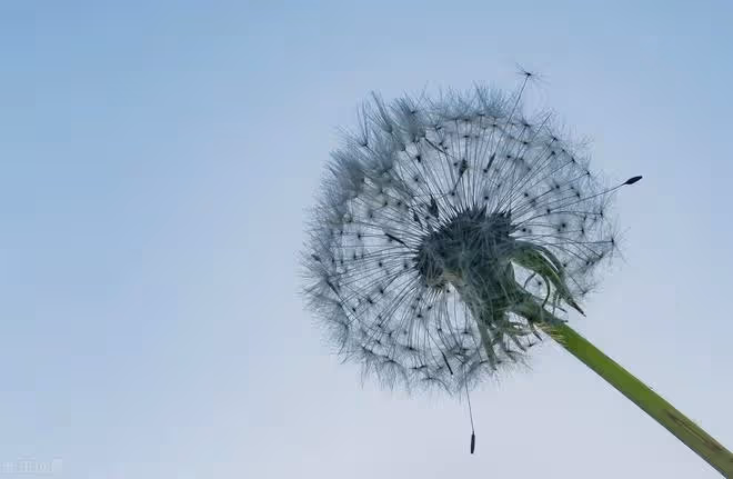 58歲退休阿姨坦言:人生後半段,越是捨得這樣做,餘生就會越幸福