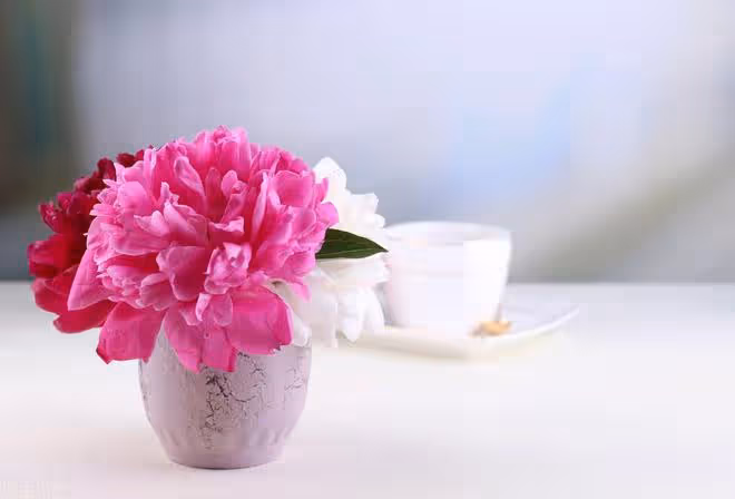 73歲老人的養老妙招:不去養老院不雇保姆,花錢請兒媳照顧餘生