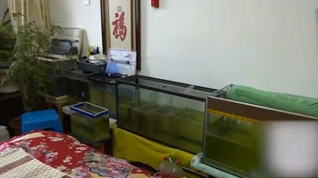 54歲大媽相親,當晚兩人都太緊張,第2天起床大媽:我想和他分手