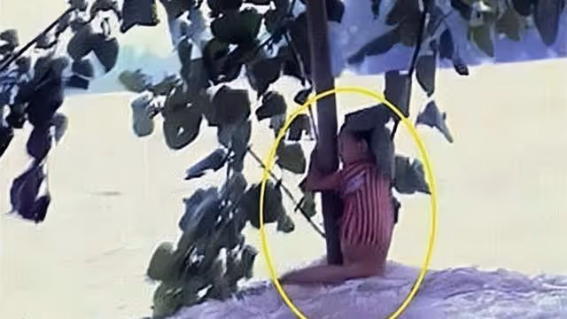 98年特大洪水,7歲女孩緊抱大樹9小時獲救,如今她的工作令人自豪