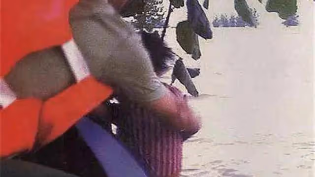 98年特大洪水,7歲女孩緊抱大樹9小時獲救,如今她的工作令人自豪