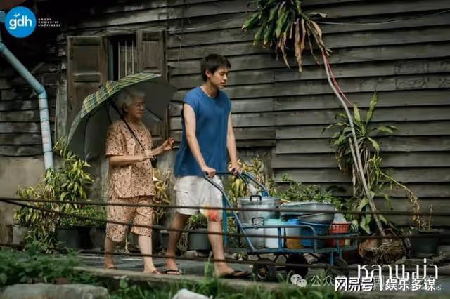 感動萬千觀眾!《姥姥的外孫》口碑爆棚,看著就哭了