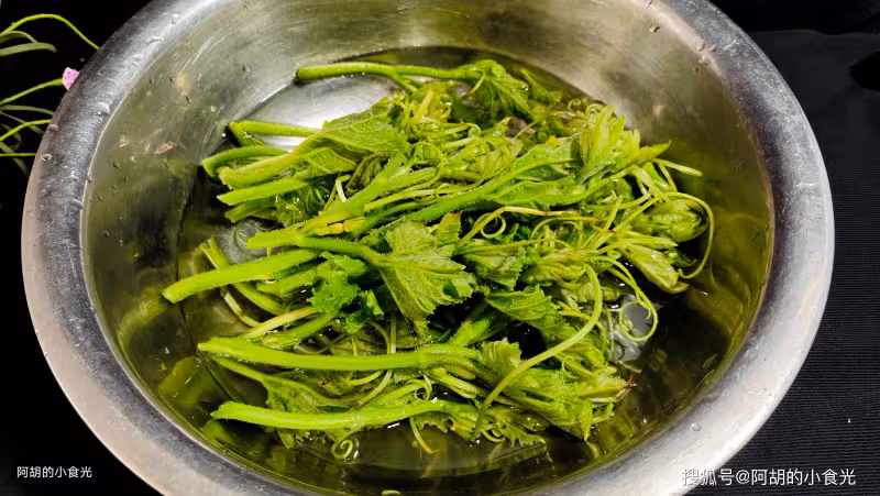 夏天遇到這菜別手軟，全身是寶！先摘一把嫩葉拌一拌，一口脆嫩、滿口清爽鮮