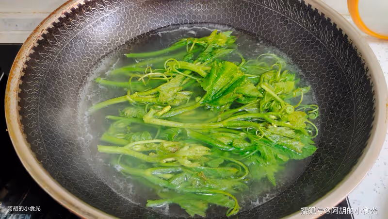 夏天遇到這菜別手軟,全身是寶!先摘一把嫩葉拌一拌,一口脆嫩、滿口清爽鮮