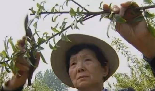 回顧丈夫娶保姆女兒自殺,坐牢18年掃廁所,70歲賺千萬翻身,憑啥