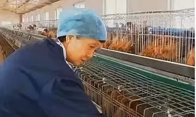 回顧丈夫娶保姆女兒自殺,坐牢18年掃廁所,70歲賺千萬翻身,憑啥
