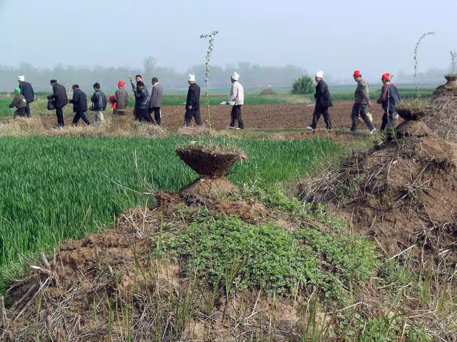 回顧農民被判死刑,19年後無罪釋放獲賠293萬:聽到結果很痛苦