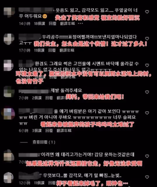 福寶回中國被虐待?少女時代徐賢點贊請願帖文,網友破防集體討伐
