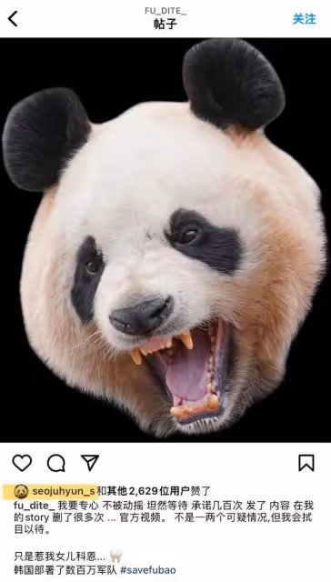 福寶回中國被虐待?少女時代徐賢點贊請願帖文,網友破防集體討伐