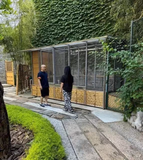 48歲李湘現身長沙街頭,夏天穿西裝不怕熱,身材圓潤疑胖至160斤