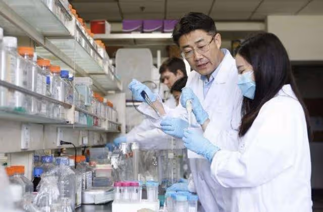 回顧:學霸家庭一門9個博士,高福院士:多虧了母親的引導教育