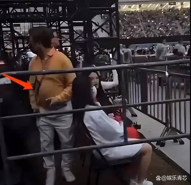 王岳倫李湘離婚後相處和諧!網友熱議:這才是真的為了孩子!