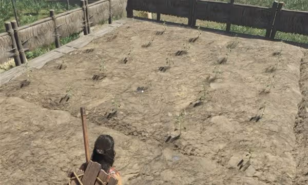 《靈魂面甲》作物種植攻略