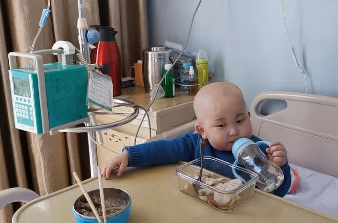 父母不信1歲半兒子得白血病,10天後基因突變,病情高危險釀大禍