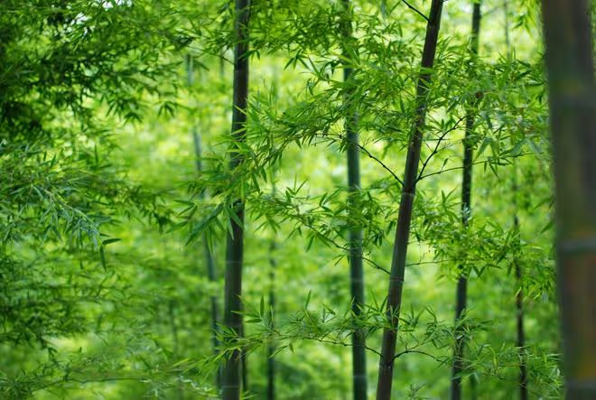 退休工資8000,兒子說要備孕讓我去養老院住,掛失工資卡兒媳慌了
