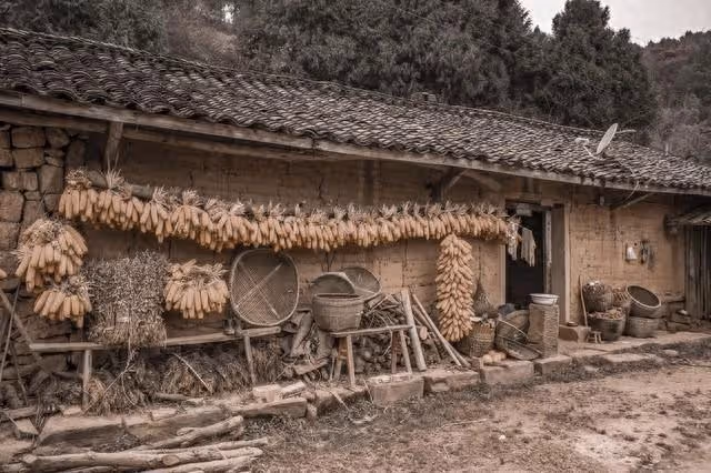 我去姥姥家借錢,姥姥塞給我一包舊衣服,回家打開後,媽媽哭了
