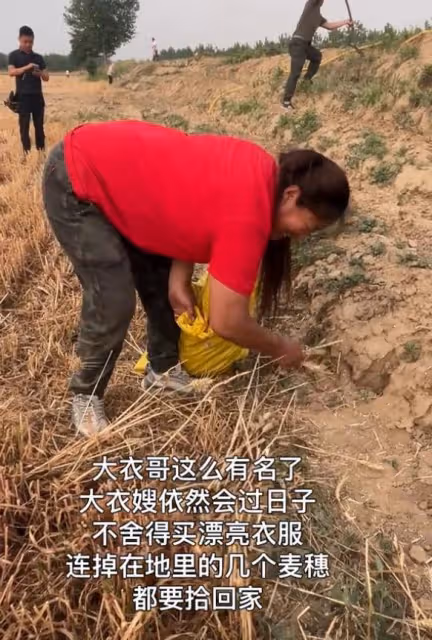 大衣哥稱小麥畝產1500斤,被網友吐槽吹牛,大衣哥解釋來了