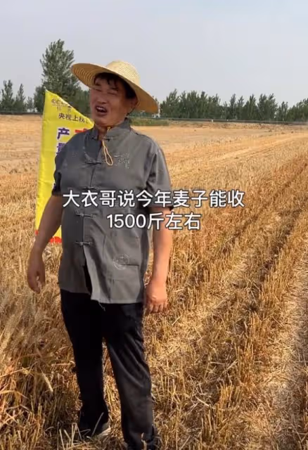 大衣哥稱小麥畝產1500斤,被網友吐槽吹牛,大衣哥解釋來了